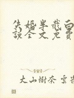 失婚半截白菜小说全文免费阅读封面