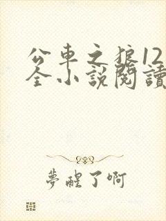 公车之狼12集全小说阅读