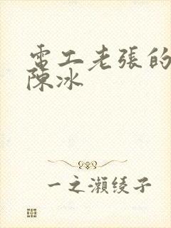 电工老张的春天陈冰封面