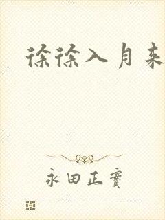徐徐入月来封面