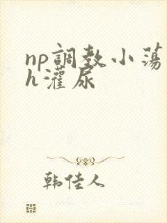 np调教小荡货h灌尿