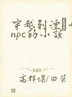 穿越到湮婸世界npc的小说