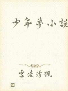 少年梦小说