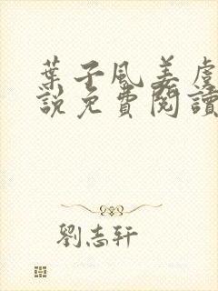 叶子风姜虞雪小说免费阅读封面