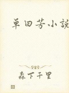单田芳小说