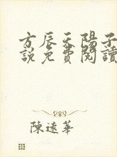 方辰天阳子的小说免费阅读封面