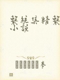 系统集精系统 小说