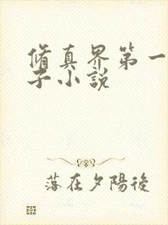 修真界第一病秧子小说