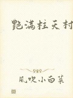 艳满柱天村封面