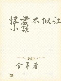 恨君不似江楼月小说