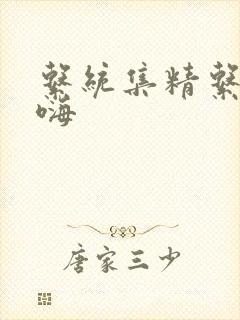 系统集精系统高嗨