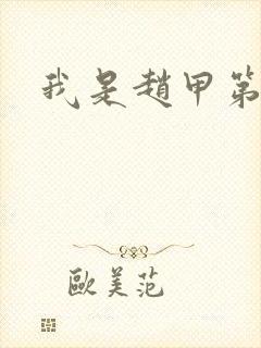 我是赵甲第小说