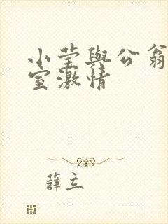 小莹与公翁办公室激情