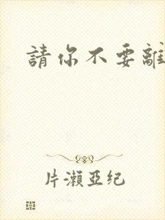 请你不要离开我