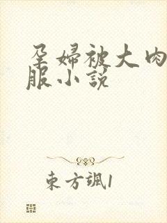 孕妇被大肉楱征服小说