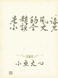 老赵的风流人生小说全文免费阅读封面