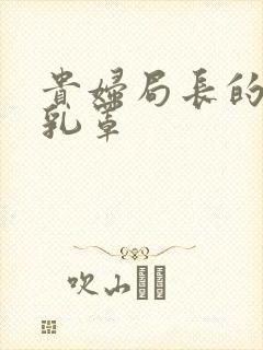 贵妇局长的蕾丝乳罩