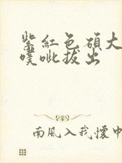 紫红色硕大噗呲噗呲拔出