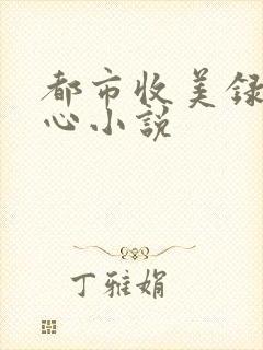 都市收美录宁素心小说