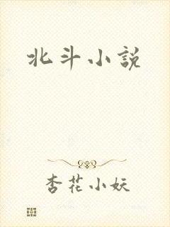 北斗小说封面