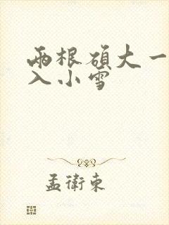 两根硕大一起挤入小雪