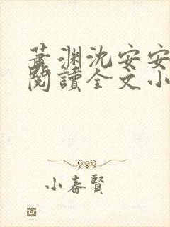 萧渊沈安安免费阅读全文小说