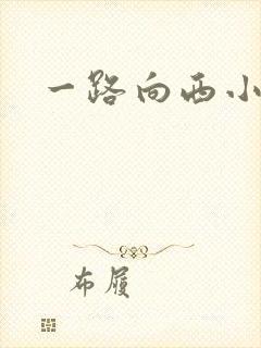 一路向西小说