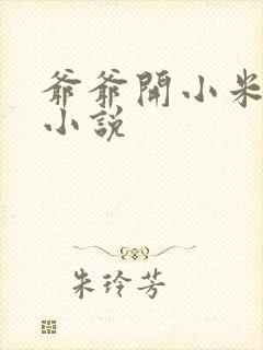 爷爷开小米的包小说封面