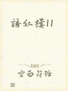 诱红楼11