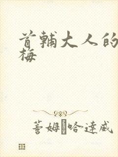 首辅大人的小青梅