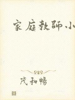 家庭教师小说封面