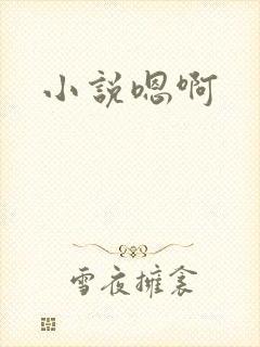 小说嗯啊