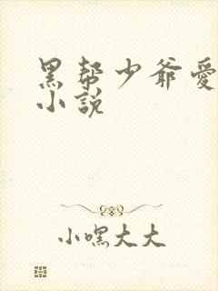 黑帮少爷爱上我小说