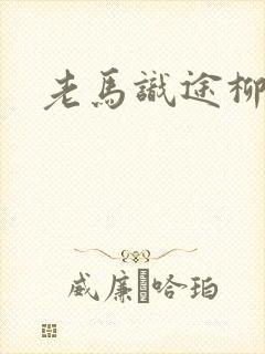 老马识途柳娇娇