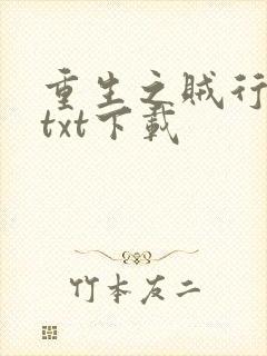 重生之贼行天下txt下载