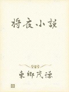 将夜小说封面