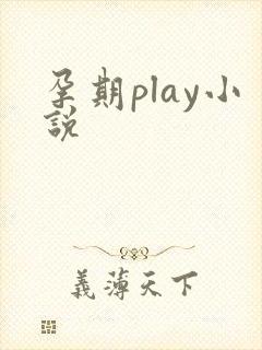 孕期play小说