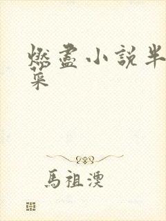 燃尽小说半截白菜封面