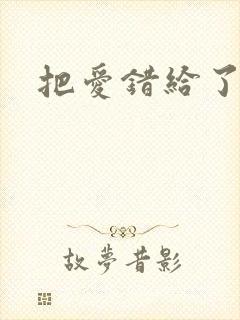 把爱错给了你