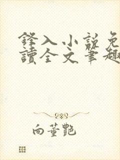 锋入小说免费阅读全文笔趣阁