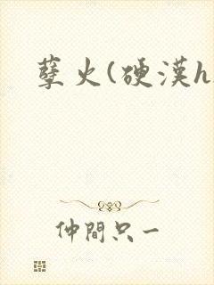 孽火(硬汉h)