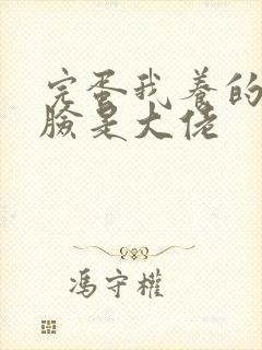 完蛋我养的小白脸是大佬