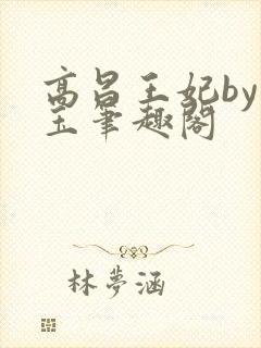 高昌王妃by黛玉笔趣阁