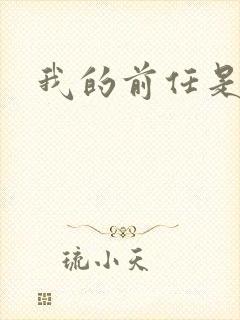 我的前任是极品封面