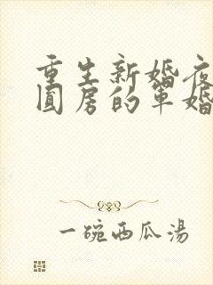 重生新婚夜正在圆房的军婚