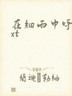 在细雨中呼喊txt