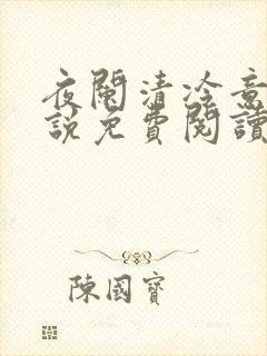 夜阑清冷意欢小说免费阅读