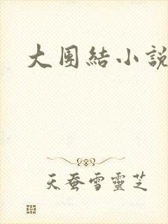 大团结小说全文