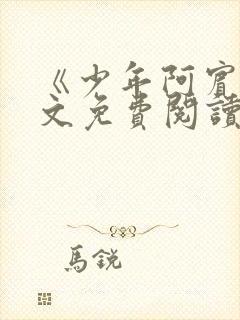 《少年阿宾》全文免费阅读