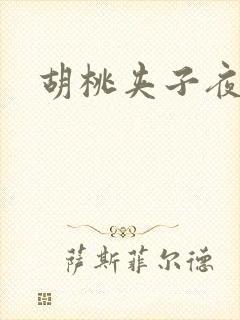 胡桃夹子夜未眠